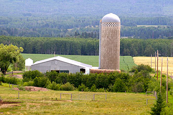 our farm